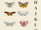 Διαγωνισμός Haiku, 2022