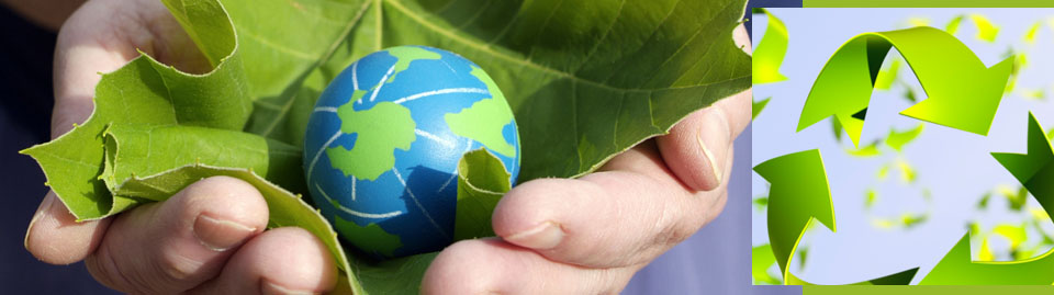 Προγράμματα Περιβαλλοντικής Αγωγής