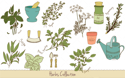 Flavour and smell in our cups